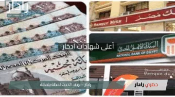 بعد قرار خفض الفائدة من الأهلي ومصر.. اكتشف أعلى شهادات ادخار تمنحك أفضل عائد في البنوك المصرية