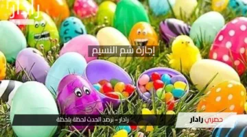 إجازة شم النسيم 2025 .. موعد الإجازة رسميًا وأهم تورايخ العطلات الرسمية القادمة لهذا العام
