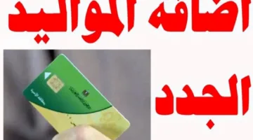 فتح باب إضافة مواليد وزارة التموين في مصر 2025 لعدة فئات.. أهم الشروط والأرواق المطلوبة