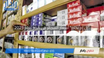 “إل إم بكام” أسعار السجائر في مصر لعام 2025