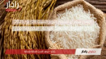 ارتفاع سعر أرز الشعير اليوم السبت 26- 4- 2025 داخل الأسواق المصرية بأنواعه.. إليكم التفاصيل