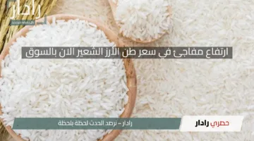 ارتفاع مفاجئ في سعر طن الأرز الشعير الان بالسوق
