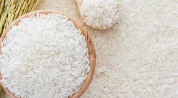 سعر طن الأرز الشعير يُفاجئ الجميع في الأسواق.. شوف الكيلو بكام