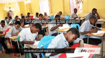 رابط الاستعلام نتيجة الشهادة السودانية 2025 .. استخراج نتائج الثانوية العامة في السودان عبر الموقع الرسمي