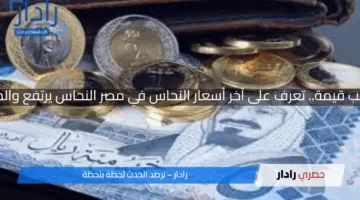 سعر الريال السعودي مقابل الجنيه المصري اليوم الخميس 17 أبريل 2025 تحركات جديدة وتوقعات مستقبلية