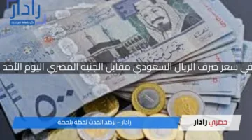 استقرار نسبي في سعر صرف الريال السعودي مقابل الجنيه المصري اليوم الأحد 13 أبريل 2025