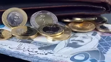 هدوء واستقرار.. اسعار الريال السعودي اليوم الجمعة 25 أبريل 2025 داخل البنوك المصرية