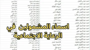 شروط وخطوات الاستعلام عن أسماء المشمولين في العراق 2025 عبر spa.gov.iq