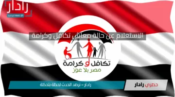 “بالرقم القومي”.. خطوات الاستعلام عن معاش تكافل وكرامة 2025 في مصر