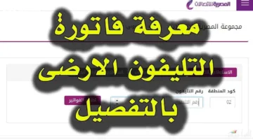 خطوات الاستعلام عن فاتورة التليفون الأرضي بالرقم لشهر أبريل 2025 وطرق الدفع