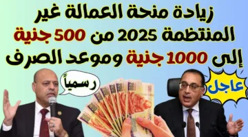 رابط وخطوات الاستعلام عن منحة العمالة الغير منتظمة 2025 عبر manpower.gov.eg