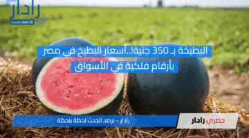 البطيخة بـ 350 جنية!..أسعار البطيخ في مصر بأرقام فلكية في الأسواق