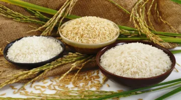مفاجأة غير متوقعة في سعر طن الأرز الشعير والأبيض اليوم الثلاثاء