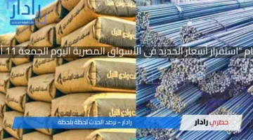 “الحديد بكام “استقرار أسعار الحديد في الأسواق المصرية اليوم الجمعة 11 أبريل 2025