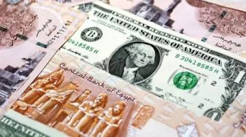 الدولار يواصل الانخفاض اليوم الثلاثاء 8 أبريل 2025 أمام الجنيه المصري بالبنوك