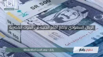 “ينتعش مجددًا”.. الريال السعودي يرتفع أمام الجنيه في البنوك المصرية اليوم الأربعاء 30 أبريل 2025