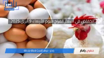 انخفاض في أسعار الفراخ اليوم الأربعاء 9 أبريل 2025