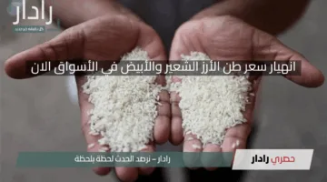 انهيار سعر طن الأرز الشعير والأبيض في الأسواق الان