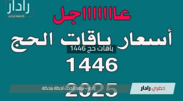 “نسك تُبهر حجاج الداخل”.. باقات حج 1446 بتجربة رقمية سلسة عبر المسار الإلكتروني