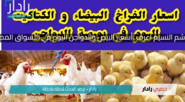بمناسبة شم النسيم اعرف..أسعار البيض والدواجن اليوم في الأسواق المصرية الآن