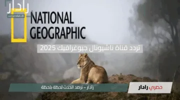 افتح أبواب المعرفة لأطفالك.. استقبل تردد قناة ناشيونال جيوغرافيك 2025 على نايل سات واستمتع بعالم الاكتشاف