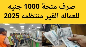 سجل دلوقتي.. تسجيل في منحة العمالة الغير منتظمة 2025 عبر manpower.gov.eg
