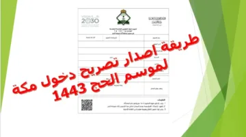 طرق استخراج تصريح دخول مكة للمقيمين 2025 عبر absher.sa والفئات المسموح لها بالاستخراج