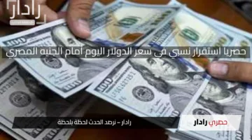 حصريا استقرار نسبي في سعر الدولار اليوم أمام الجنيه المصري