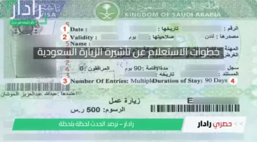 خطوات الاستعلام عن تأشيرة الزيارة السعودية والمستندات المطلوبة