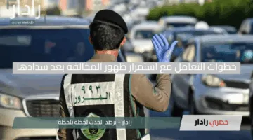 حل سريع!.. المرور السعودي يكشف خطوات التعامل مع استمرار ظهور المخالفة بعد سدادها