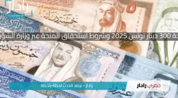 سجل الآن منحة 300 دينار تونس 2025 وشروط استحقاق المنحة عبر وزارة الشؤون الاجتماعية