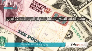 «سعر الدولار اليوم الأحد 27 أبريل 2025».. استقرار ملحوظ أمام الجنيه المصري في البنوك