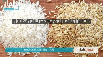 “سعر طن الأرز الشعير اليوم الاثنين 28 أبريل 2025!”.. وفرة كبيرة في الأسواق وأسعار مستقرة للمستهلكين