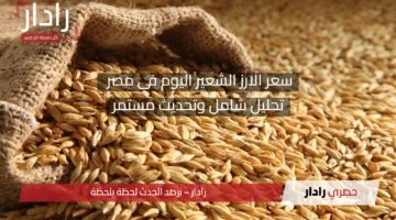 سعر الارز الشعير اليوم في مصر.. تحليل شامل وتحديث مستمر