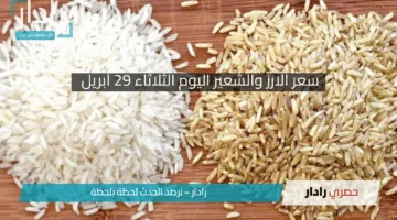 “مش هتصدق استقرار الأسعار!”.. أسعار طن الأرز الشعير في مصر اليوم 29 أبريل 2025 وخطة الاكتفاء الذاتي!!