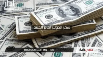 “موجة إنخفاض جديدة”.. سعر الدولار أمام الجنيه المصري اليوم الخميس 24 أبريل 2025