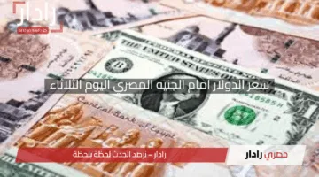 “استقرار نسبي”.. سعر الدولار أمام الجنيه المصري اليوم الثلاثاء 29 أبريل 2025 بتحديثات حصرية