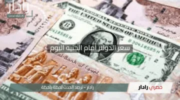 “تحديث عاجل!”.. سعر الدولار أمام الجنيه اليوم الإثنين 28 أبريل 2025 في البنوك بعد هبوط مفاجئ
