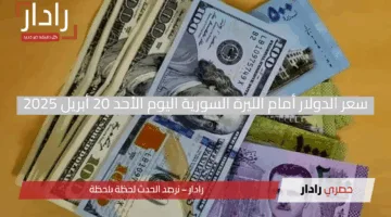 استقرار تام.. سعر الدولار أمام الليرة السورية اليوم الأحد 20 أبريل 2025 يهدأ بعد انخفاض قوي