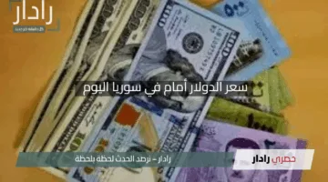 “لوين رايح الأخضر”.. سعر الدولار في سوريا اليوم الأحد 27 إبريل 2025 هبوط جديد لليرة السورية