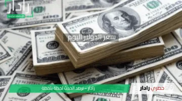 استقرار سعر الدولار مقابل الجنيه المصري قبيل عطلة البنوك: التفاصيل الكاملة ليوم الخميس 17 أبريل 2025
