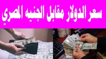 خبر يهمك: سعر الدولار أمام الجنيه الان في البنوك