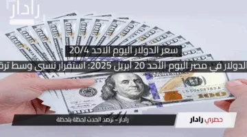 رسميا سعر الدولار في مصر اليوم الأحد 20 أبريل 2025: استقرار نسبي وسط ترقب الأسواق