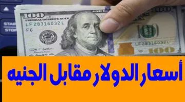 مفاجأة مدوية.. سعر الدولار اليوم مقابل الجنيه المصري الأحد 27 أبريل 2025 داخل البنوك