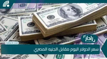 “بكام الأخضر” سعر الدولار اليوم مقابل الجنيه المصري 11 ابريل