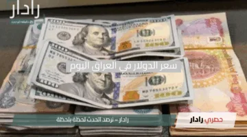 استقرار ملحوظ.. سعر الدولار في العراق اليوم السبت 19 أبريل 2025 مقابل الدينار العراقي يحافظ على الهدوء