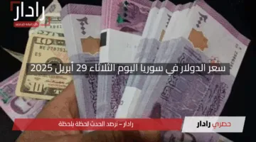 “استقرار مفاجئ!”.. سعر الدولار في سوريا اليوم الثلاثاء 29 أبريل 2025 وسط هدوء في التعاملات