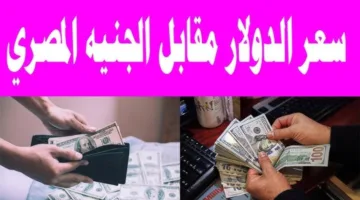 عامل كام؟.. سعر الدولار مقابل الجنيه المصري اليوم الإثنين 21 أبريل 2025 داخل البنوك