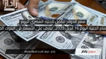 استقرار الدولار أمام الجنيه اليوم 16 أبريل 2025.. تعرف على الأسعار في البنوك المصرية بالتفصيل
