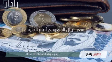 “كم وصل الريال؟”.. سعر الريال السعودي أمام الجنيه اليوم الأربعاء 30 أبريل 2025